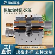 瑞成泵業(yè)高精橡膠熔體泵