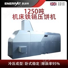 BM-12531恩派特1250噸機床鐵銷壓餅機