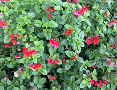 上海發(fā)布《國家數(shù)字經(jīng)濟(jì)創(chuàng)新發(fā)展試驗(yàn)區(qū)（上海）實(shí)施方案》